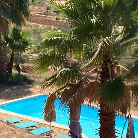 La Venturonne Appartement Neuf Rez De Jardin 45 M2 Vue Mer Et Vignes 10 Mn Des Plages 르보쎄 외부 사진