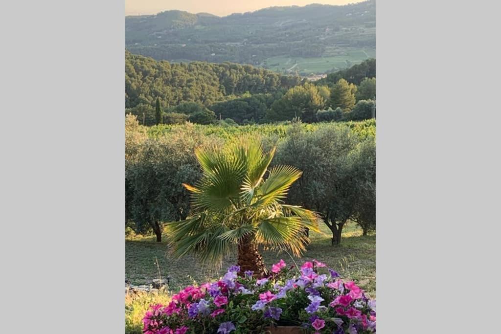 La Venturonne Appartement Neuf Rez De Jardin 45 M2 Vue Mer Et Vignes 10 Mn Des Plages 르보쎄 외부 사진