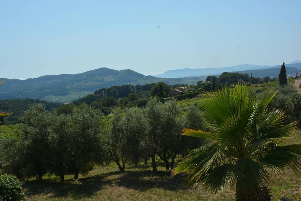 La Venturonne Appartement Neuf Rez De Jardin 45 M2 Vue Mer Et Vignes 10 Mn Des Plages 르보쎄 외부 사진